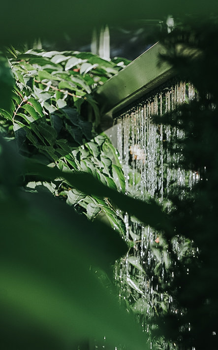 Gartenbewässerung durch einen Wasservorhang im Garten