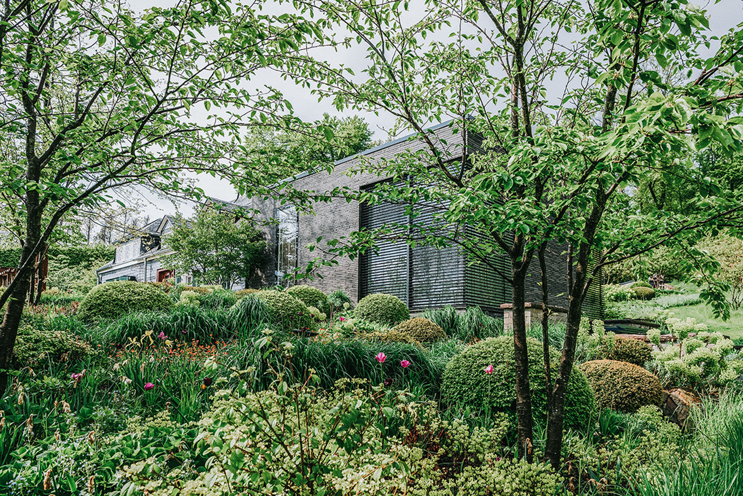 Privatgarten mit dichter grüner Bepflanzung am Hang 