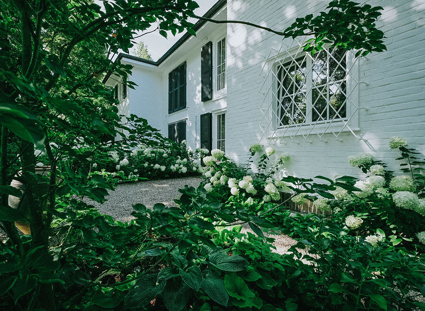 Gartenweg aus Kies, der durch eine dichte Bepflanzung von Stauden in Form von weißen Hortensien und Gehölzen an einem Privathaus entlang führt