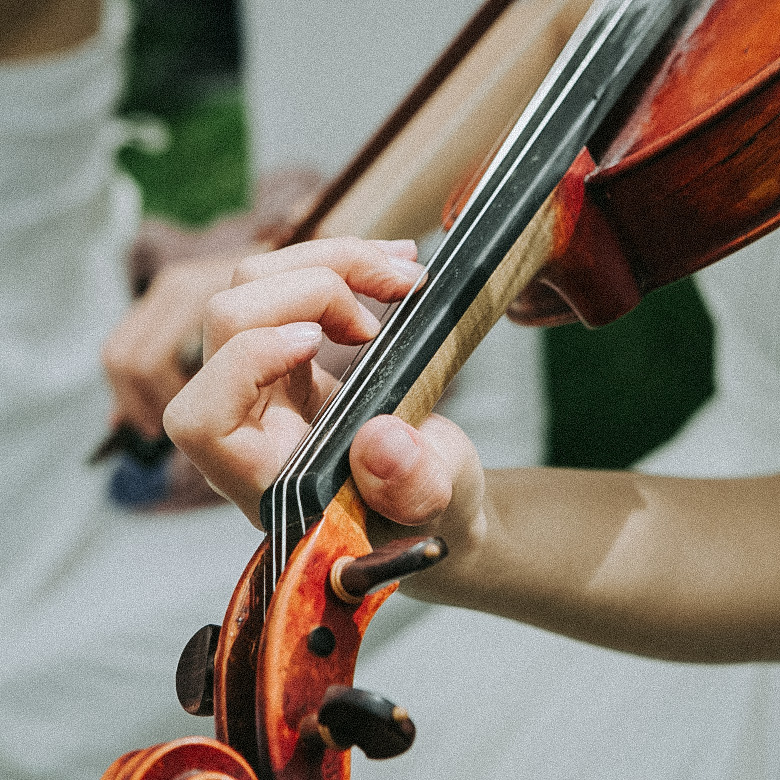 Violine Kleines Sommerkonzert bei Forster Garten- und Landschaftsbau