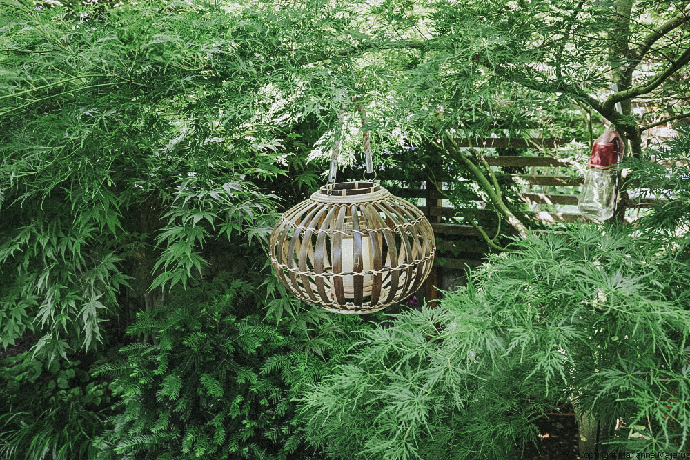 Eine kugelförmige Beleuchtung aus Holz mit einer Kerze hängt als Gartendeko an einem Ast im Familiengarten in Koblenz und wird von grünen Pflanzen umgeben.