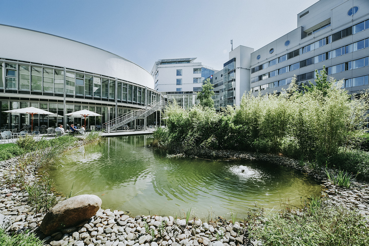 Ein großer Teich im Firmengarten, der von Kieselsteinen umrandet wird und im Hintergrund eine Terrasse mit Sonnenschirmen hat. Der Garten wird von Bürogebäuden umgeben.