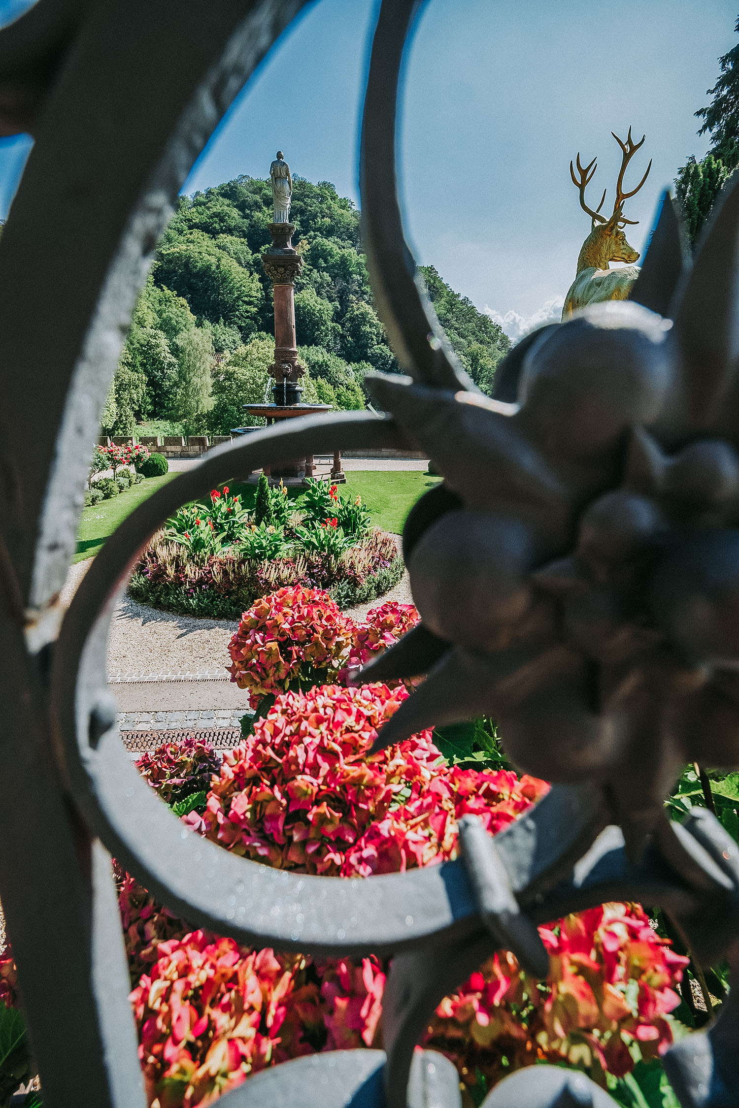 Ausblick von Schloss Drachenburg auf Schmuckbeet im Garten. Hortensienblüte im Vordergrund.