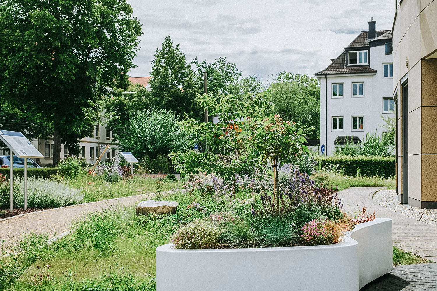 Ein Staudenbeet, Blumenkübel und Grünfläche mit bienenfreundlicher Bepflanzung in einer öffentlichen Gartenanlage in Bonn. Ein Gehweg aus Kies mit Informationstafeln führt zwischen den Beeten hindurch. 