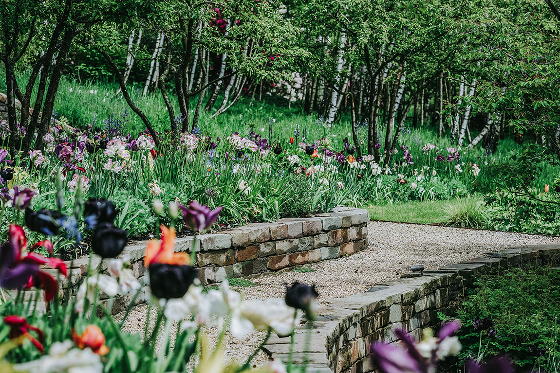 Bunte und schwarze Blumenzwiebeln sind an Natursteinmauer gepflanzt an einem Weg aus Kies, der durch den Privatgarten führt.