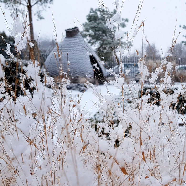 Pflanzenschutz im Winter
